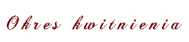 kwitnienie